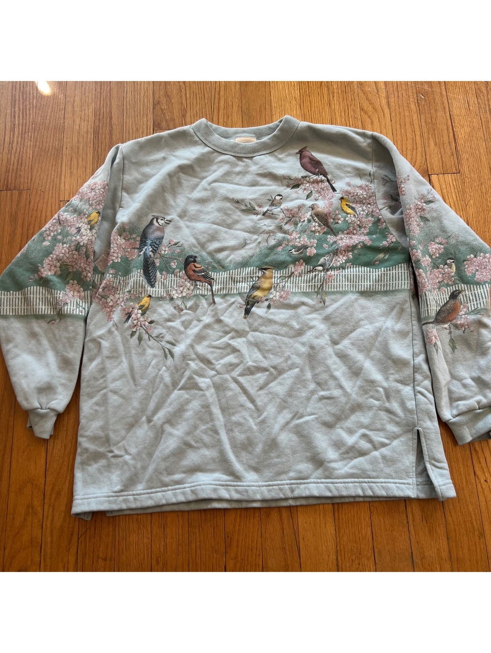 Vintage coquette baby blue bird print crew neck double sided